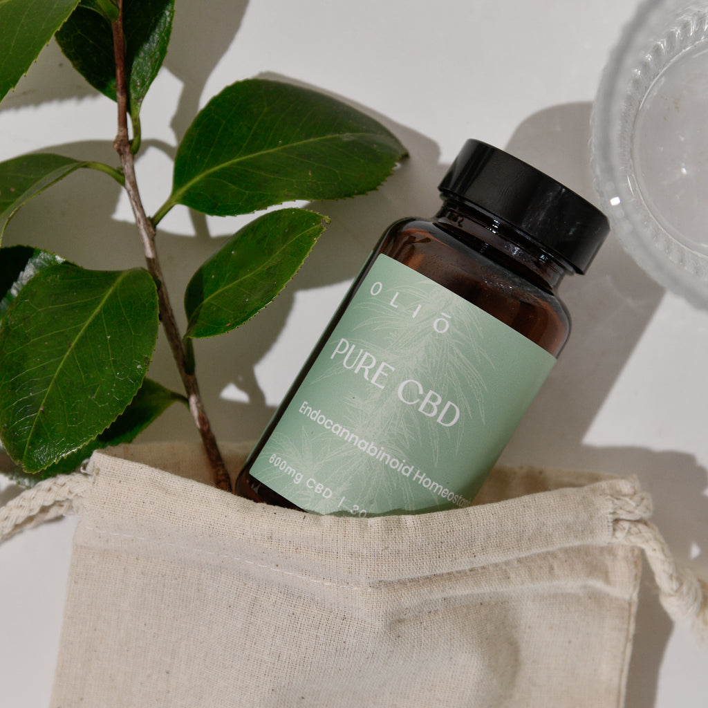 Pride Stripes - Everyday Essential Crews