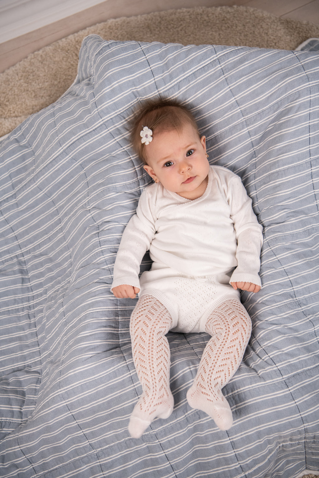 Pride Stripes - Everyday Essential Crews