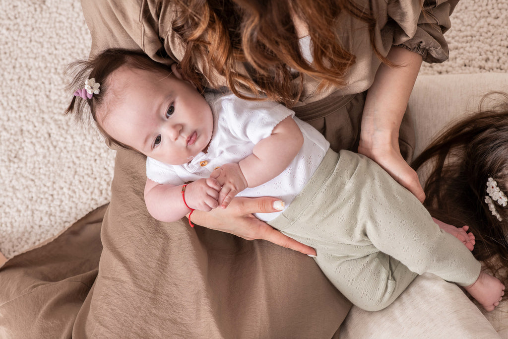 Pride Stripes - Everyday Essential Crews